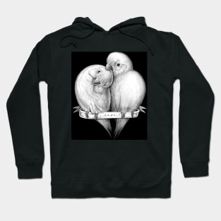 Cute parrots_black Hoodie